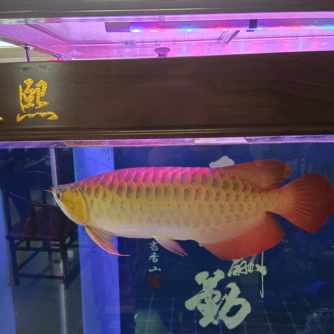 沁鑫润保温材料