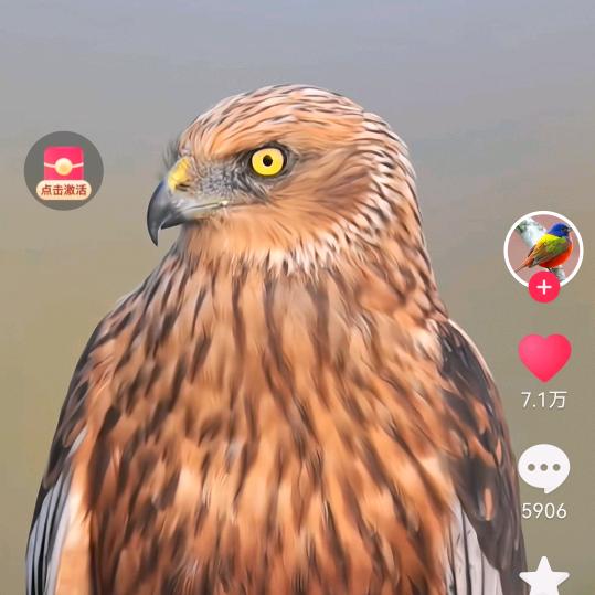 平安(天青色等烟雨而我在等你)