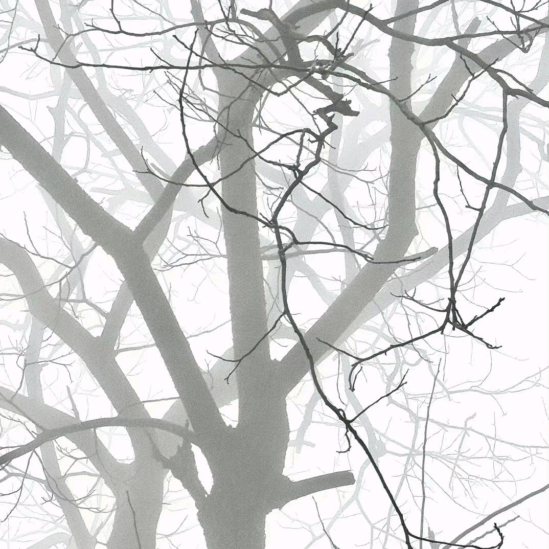 雾🌫