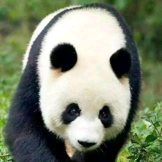 蔚