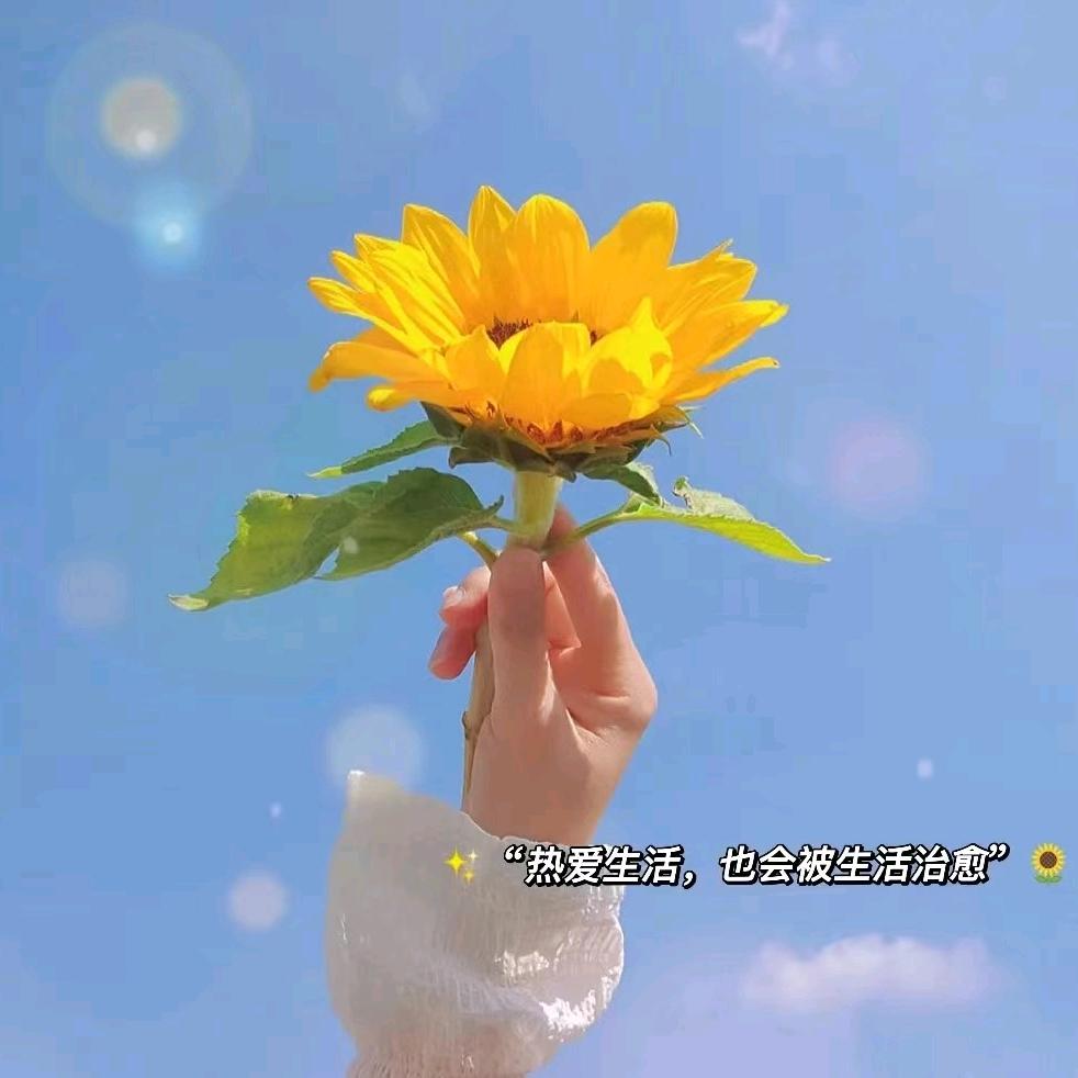 向阳✺◟(∗❛ัᴗ❛ั