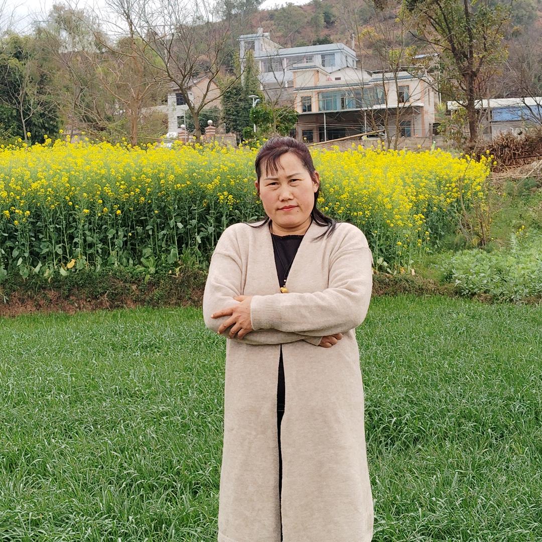 禄丰慧程刘嬢嬢在禄丰