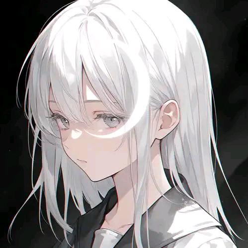 琪琪911