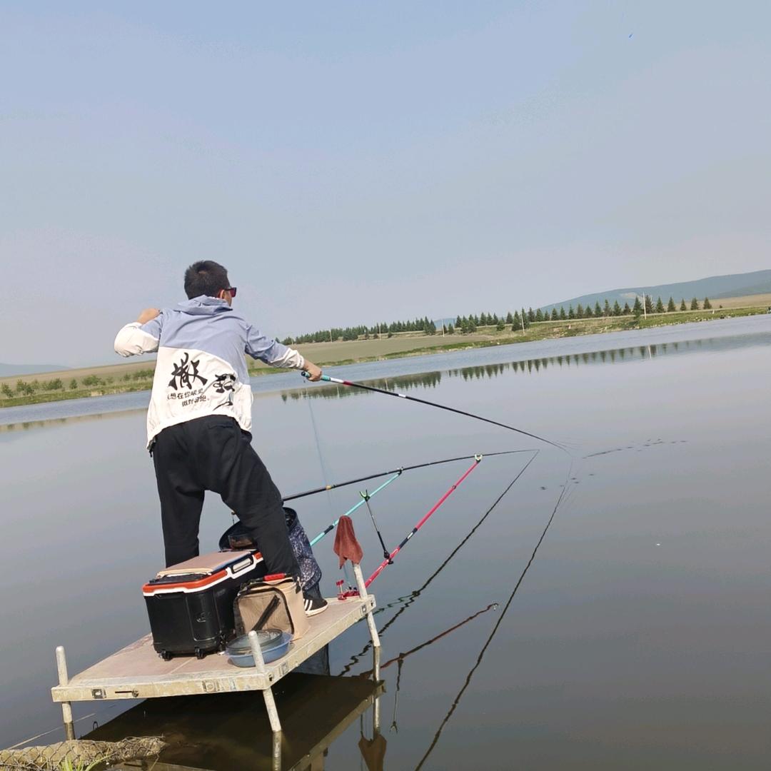 财税法师爱钓鱼