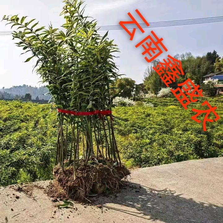 鑫盛农农业
