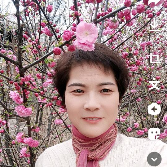好人一生平安