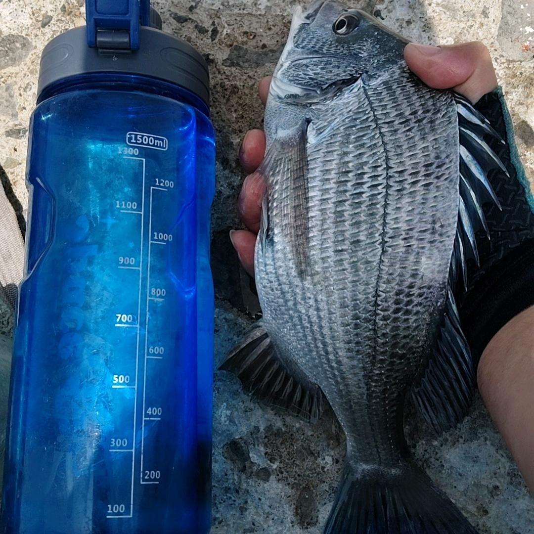 ꧁꫞꯭🇼 .🇼 .🇾꫞꧂