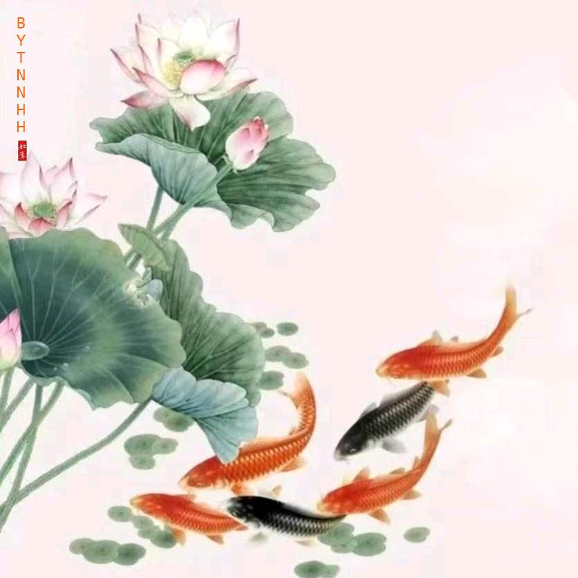 壬壬@快乐宇