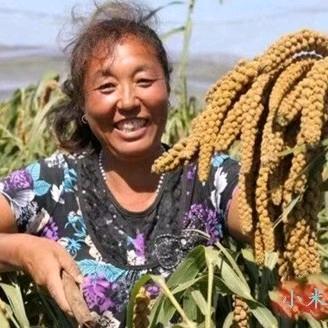 姜家米姐