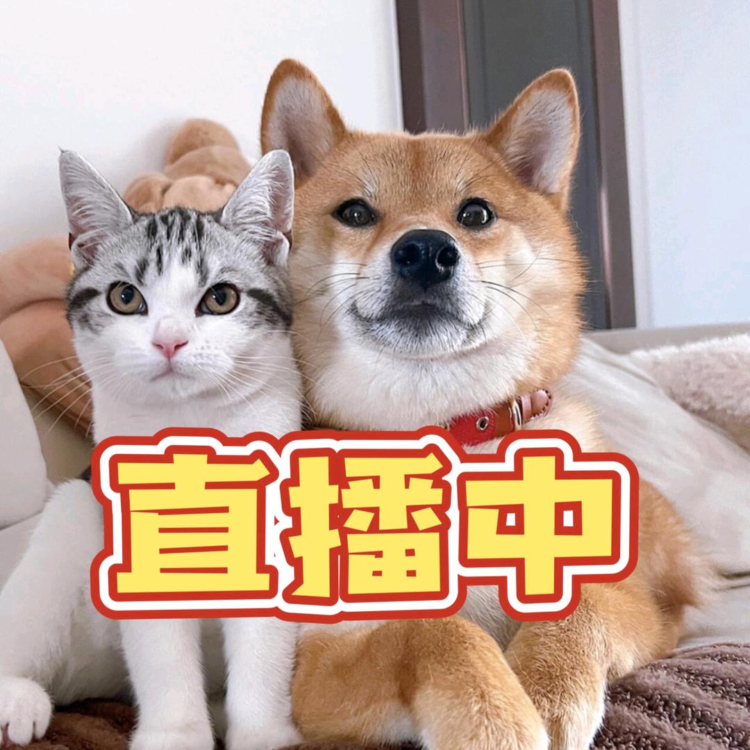 八月禾智能家居宠物净化器