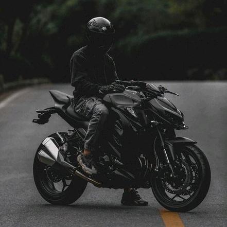 陶白白、
