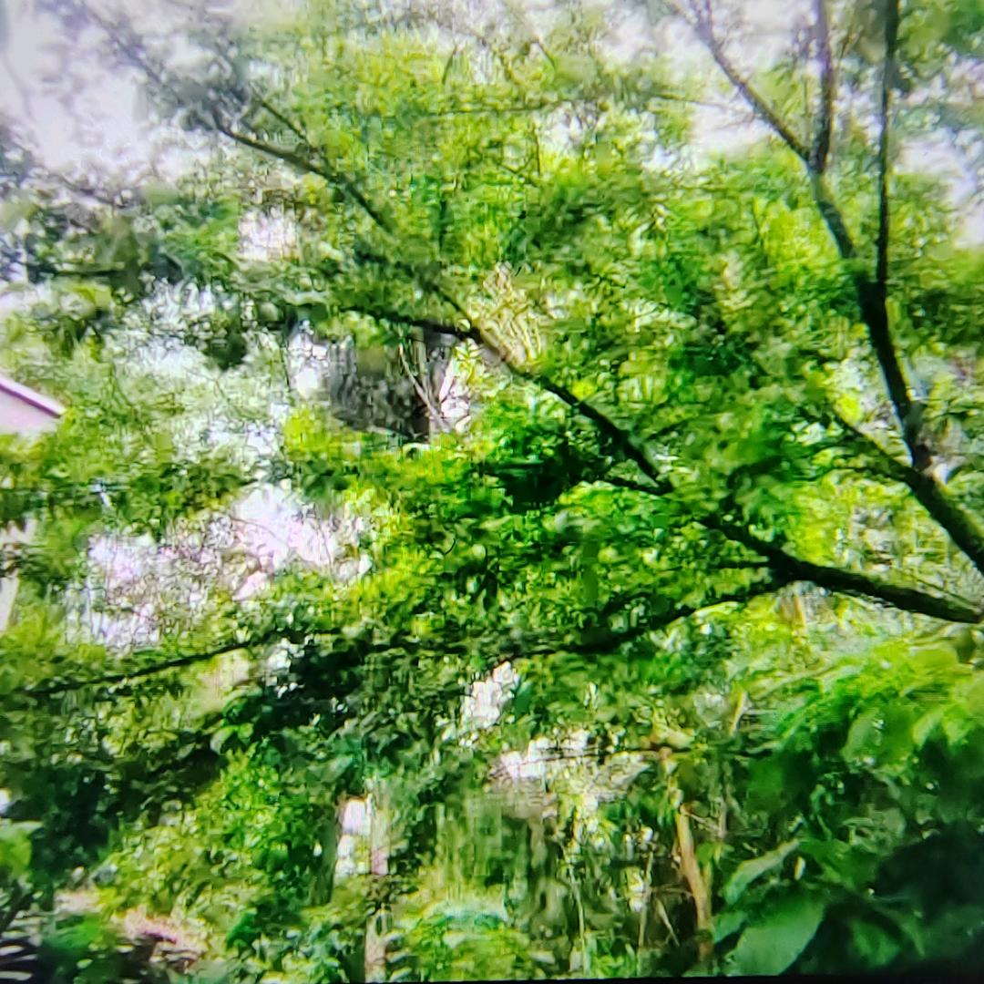 平安/健康