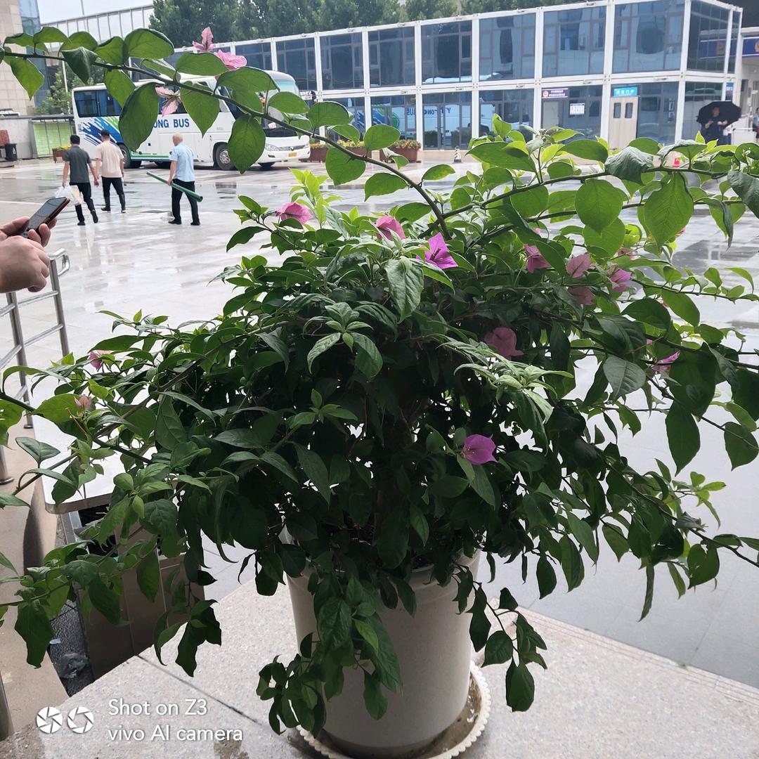 快乐的我。