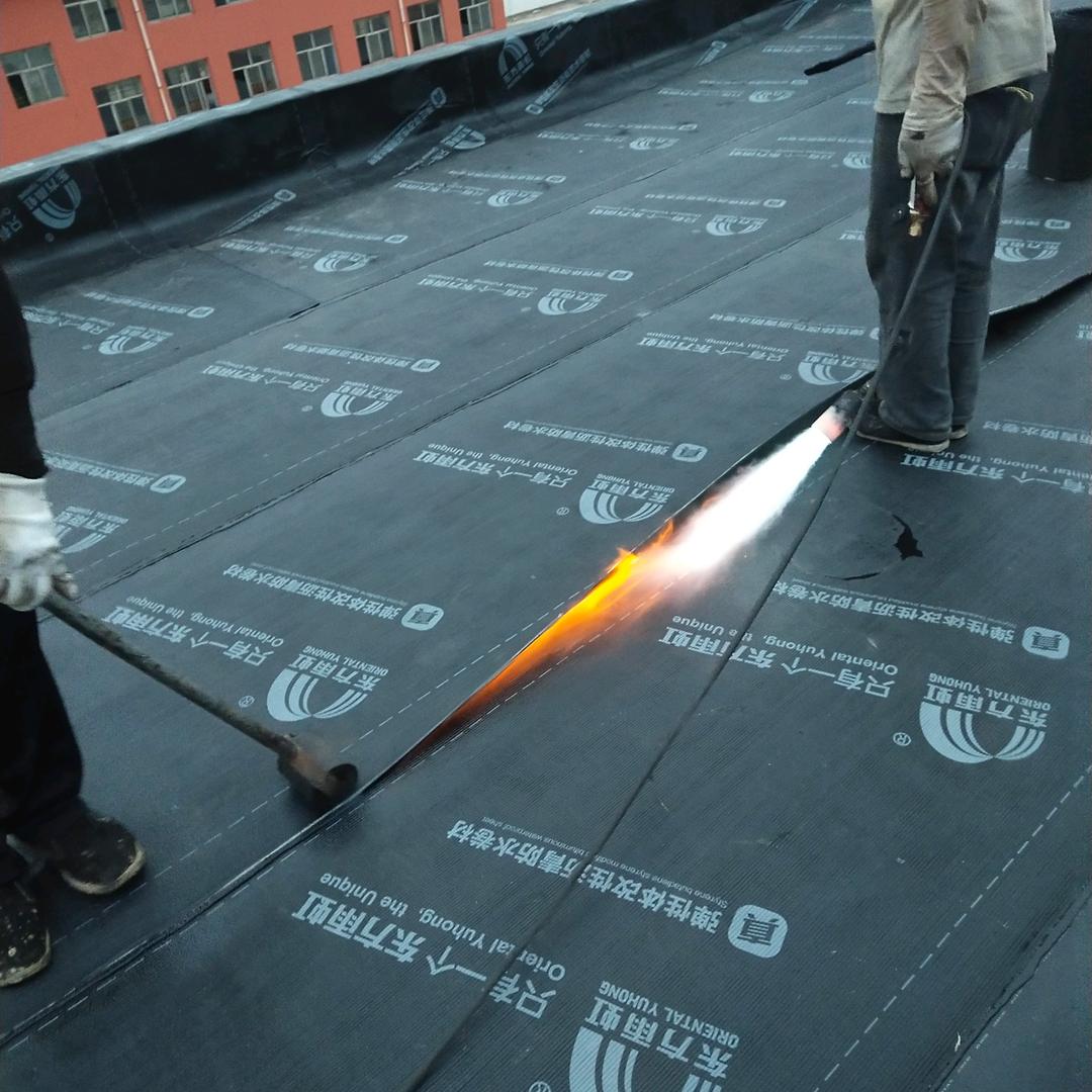 手机用户山西万荣苹果