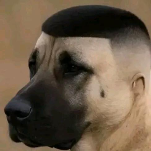 皮蛋瘦肉粥