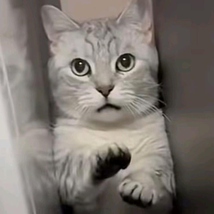 小胖妞🌹🌹❤️❤️