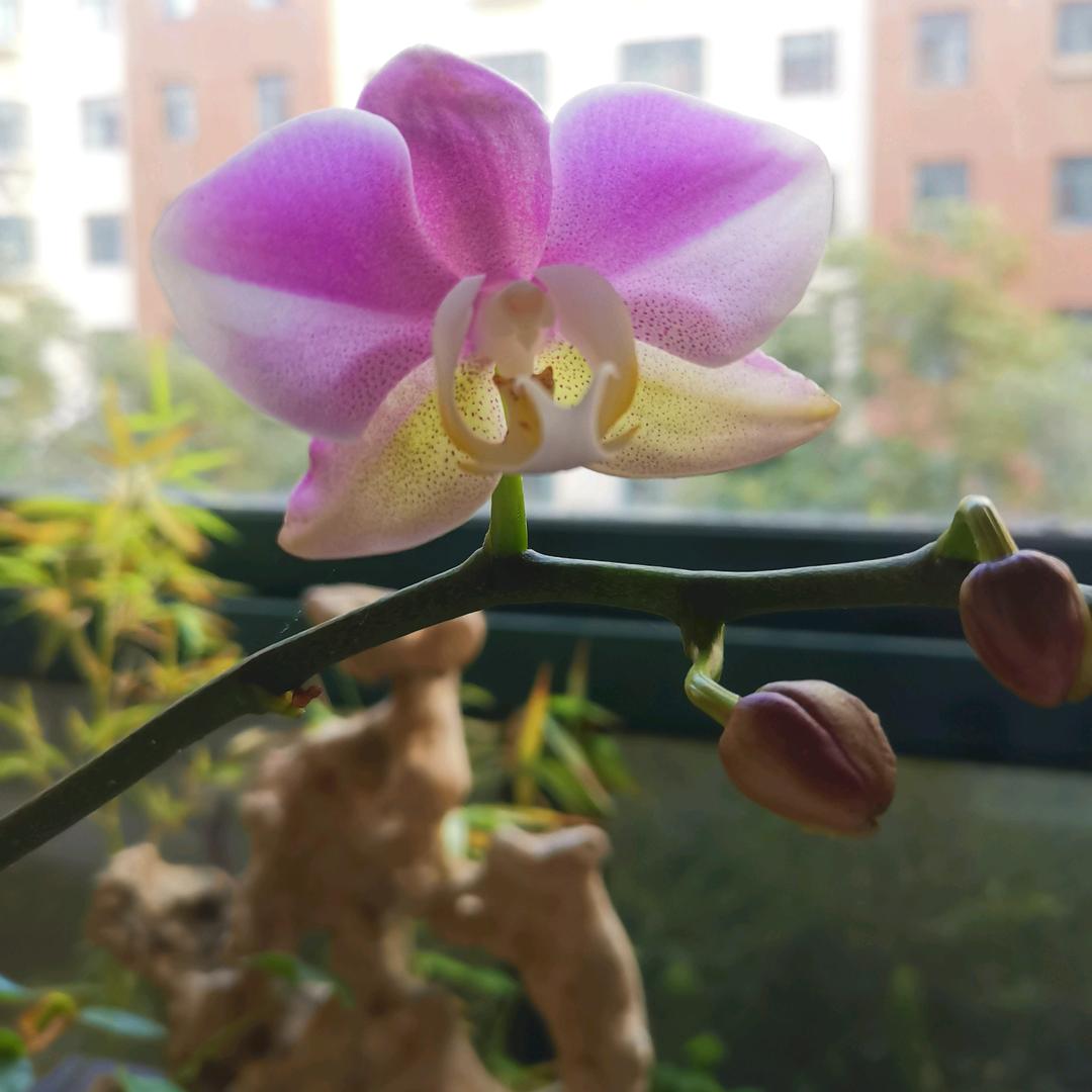 一路有你❤