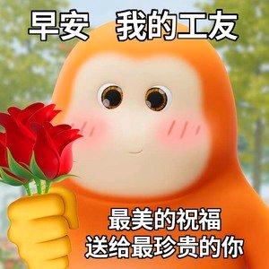 花猫