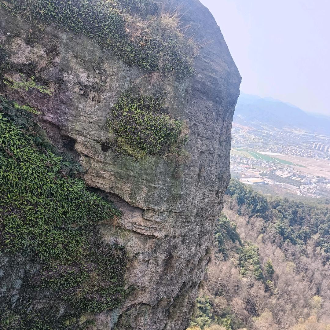 橙柚生活馆