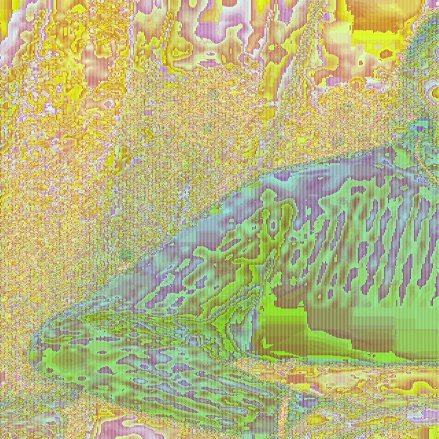 爱玩抖音的李芹