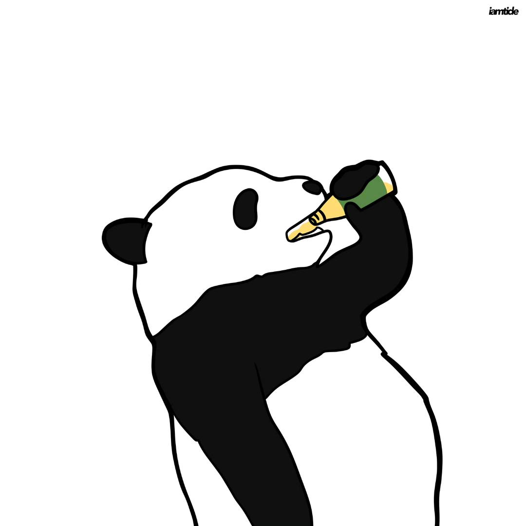 十七