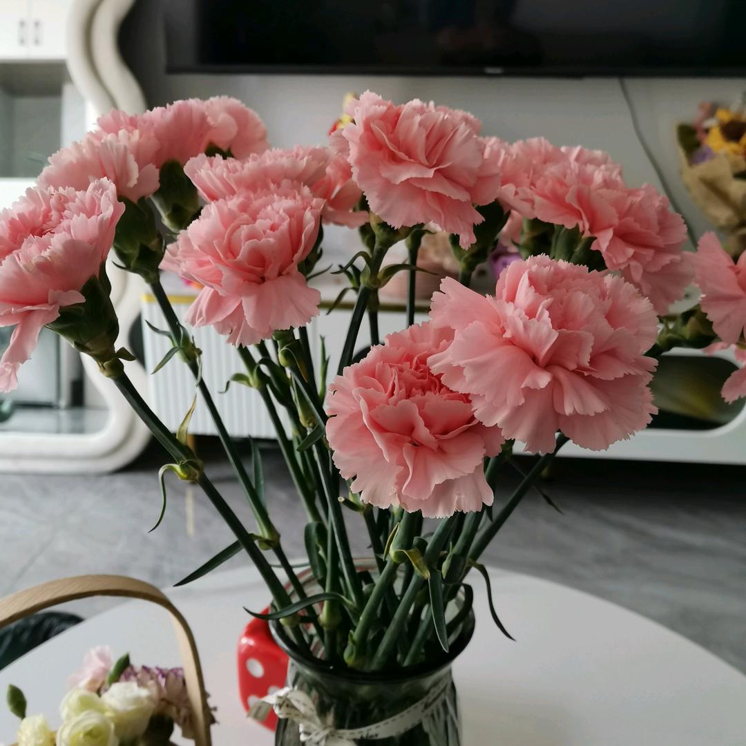 愿余生安好《LI》