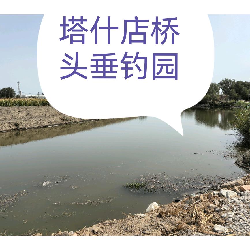 桥头垂钓园