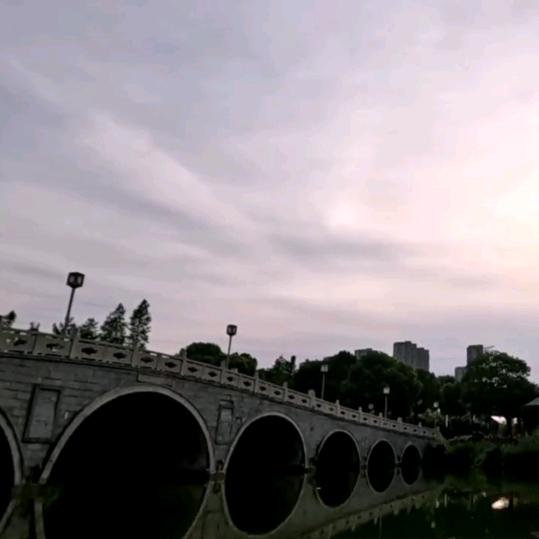 微🌻🌻🌻风