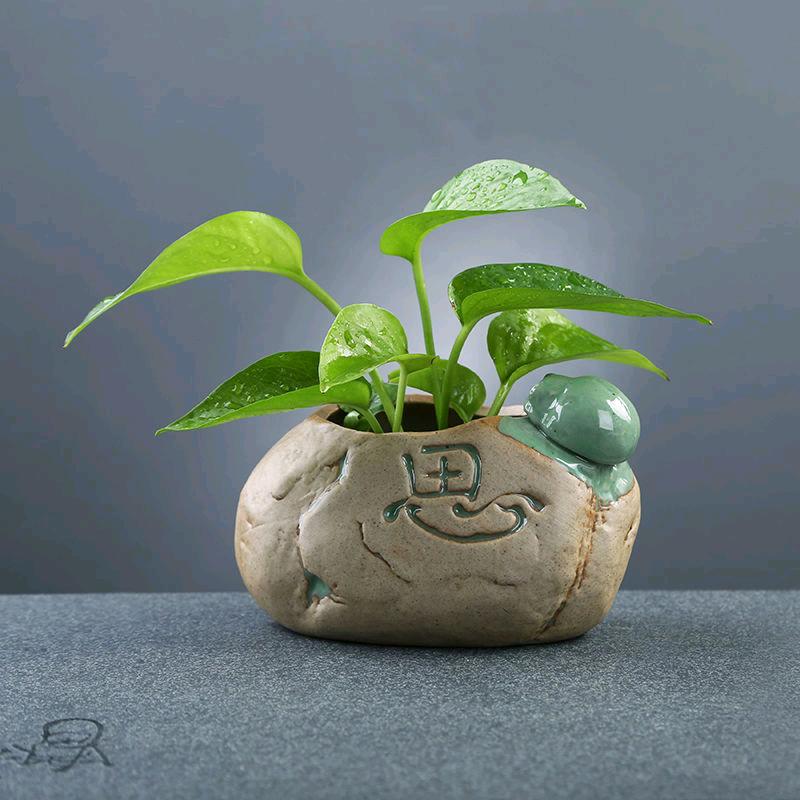 马怼怼