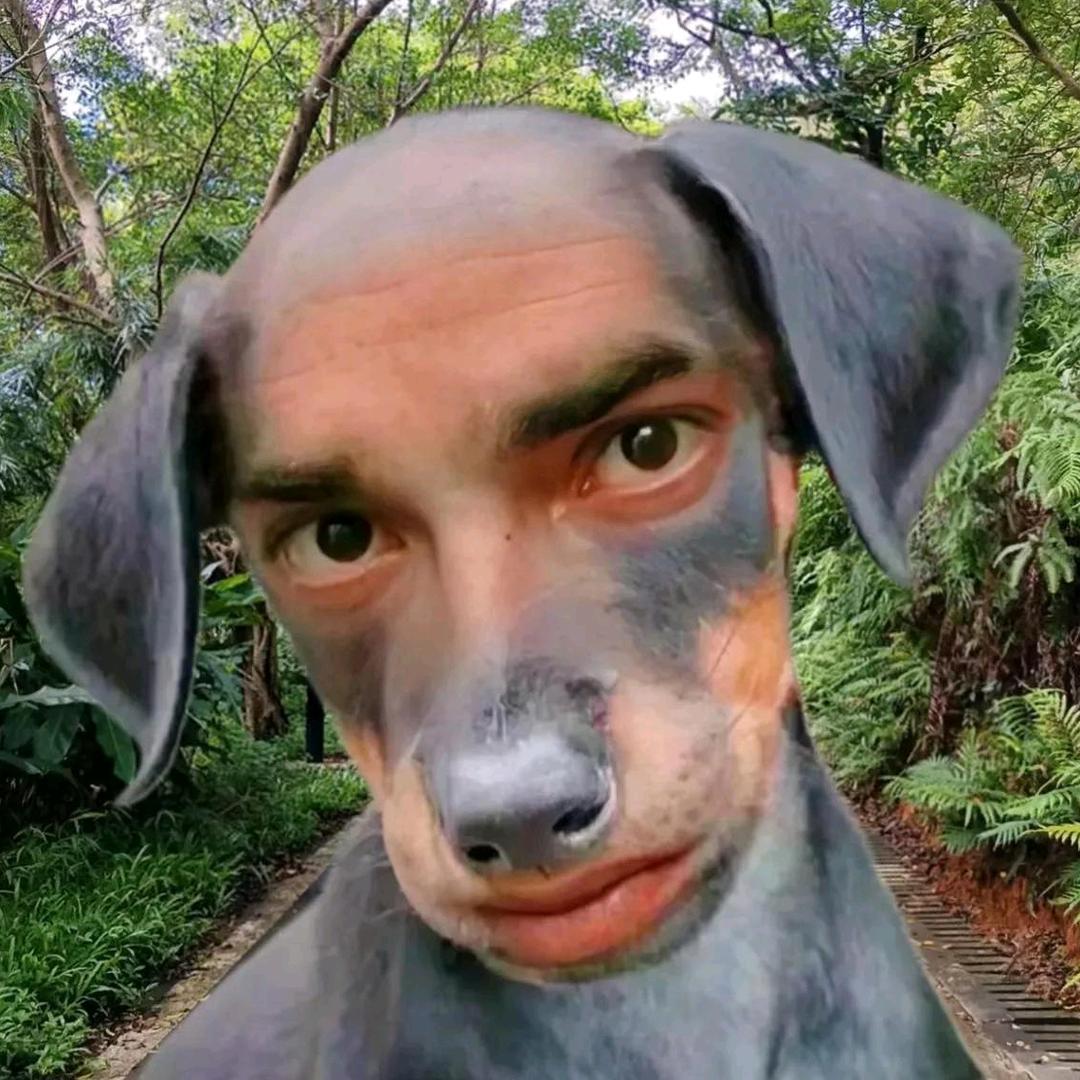 彡 彡 彡