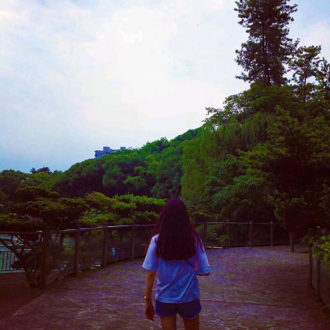 一颗聪明蛋