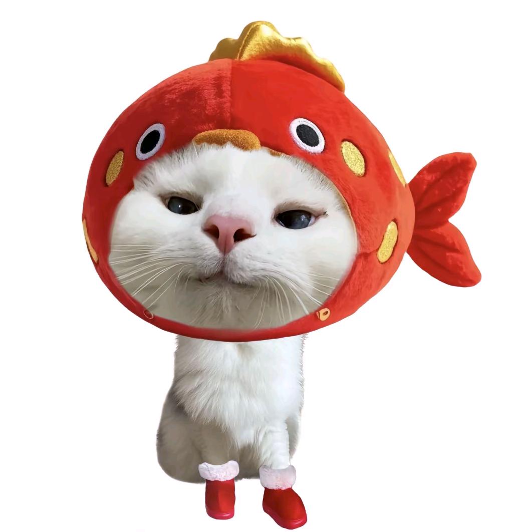 泡芙.ᯅ̈