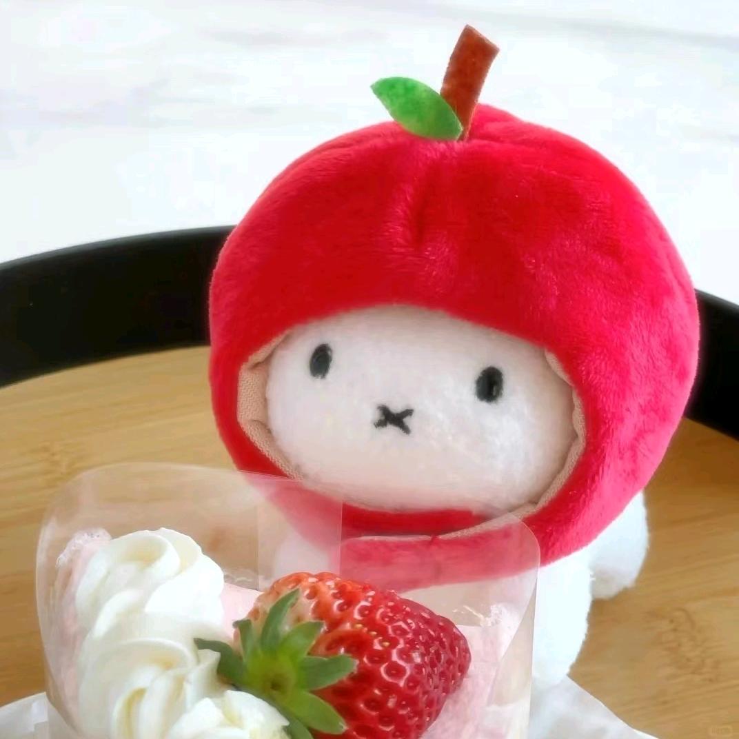 综上所述你是笨蛋