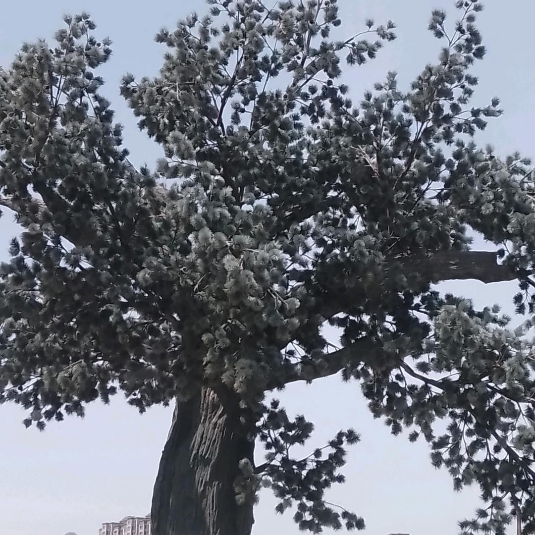 珍惜