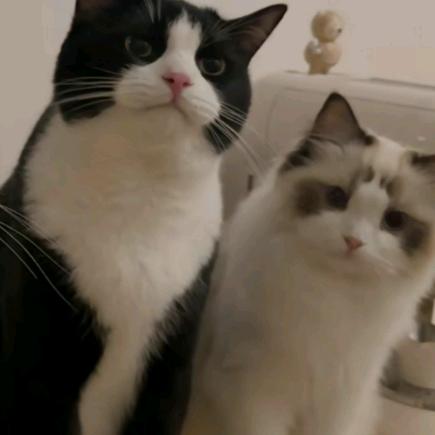 你把名字全都认证了那我叫什么啊