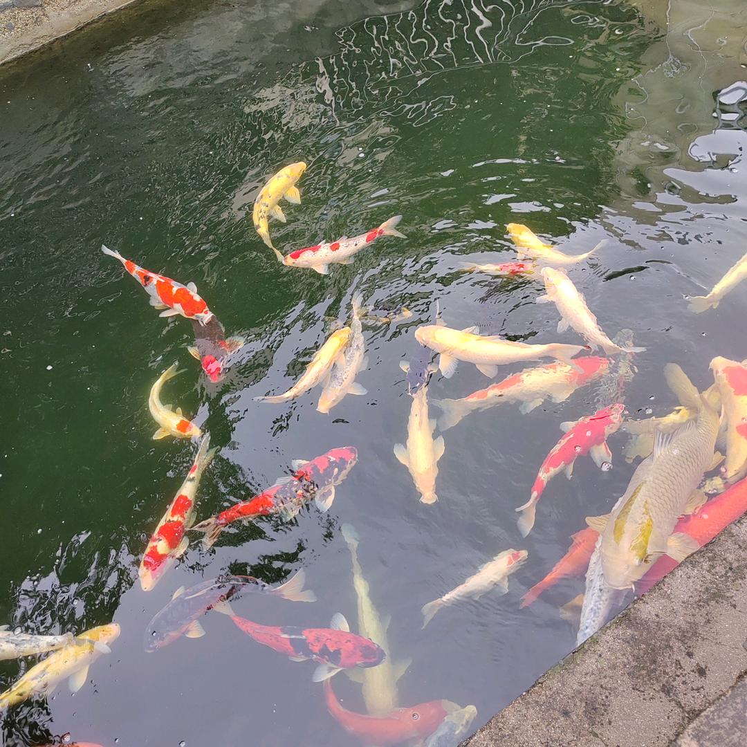 交天下朋友