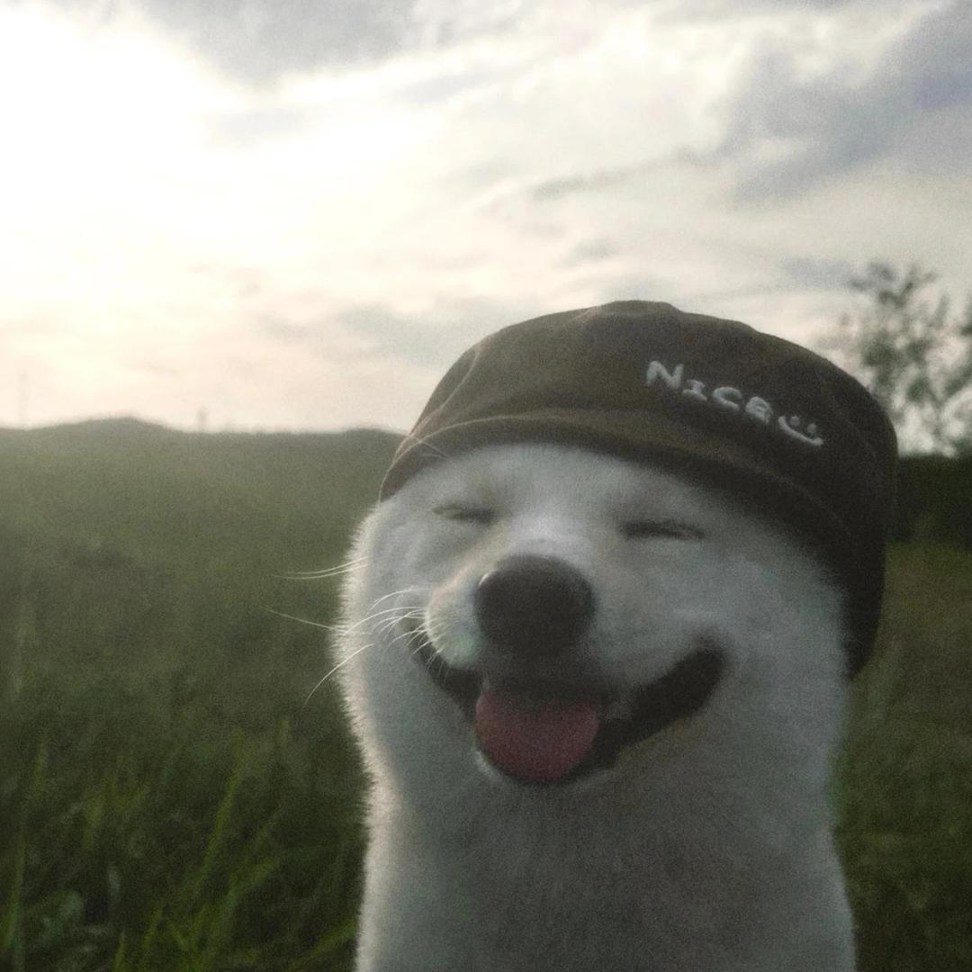 心像