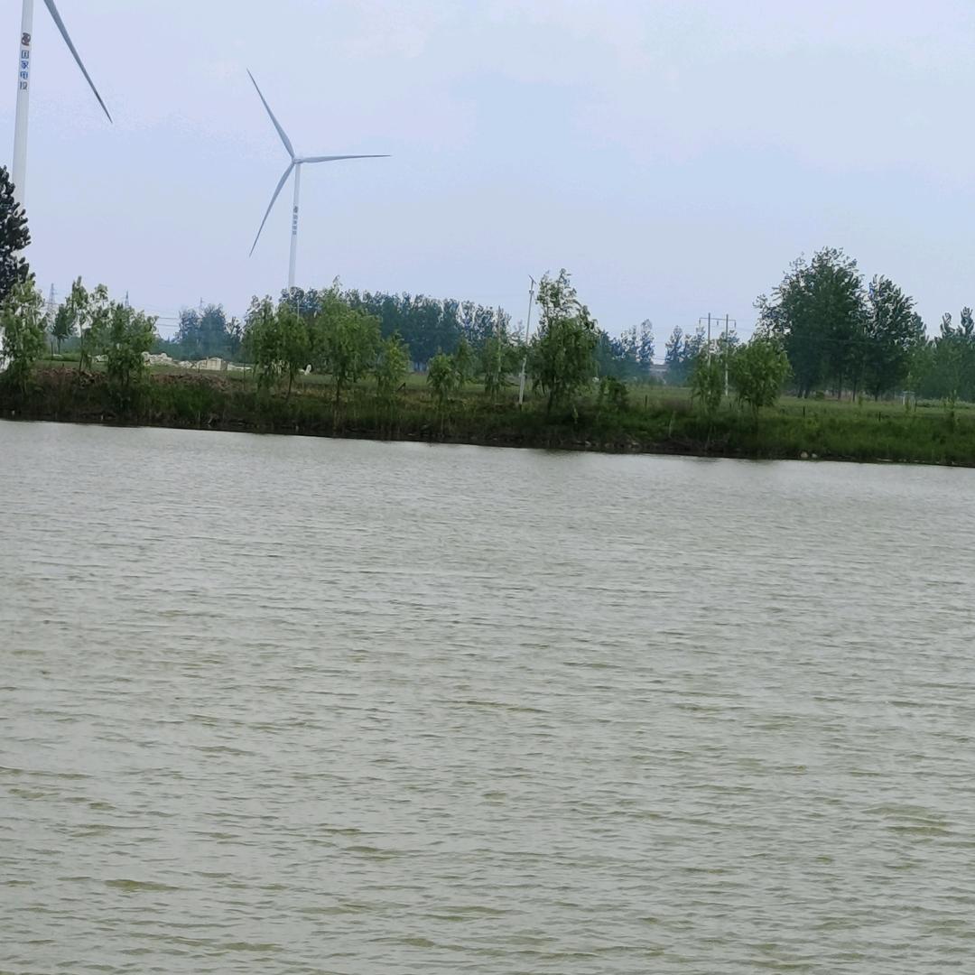 情(๑♡⌓♡๑)缘