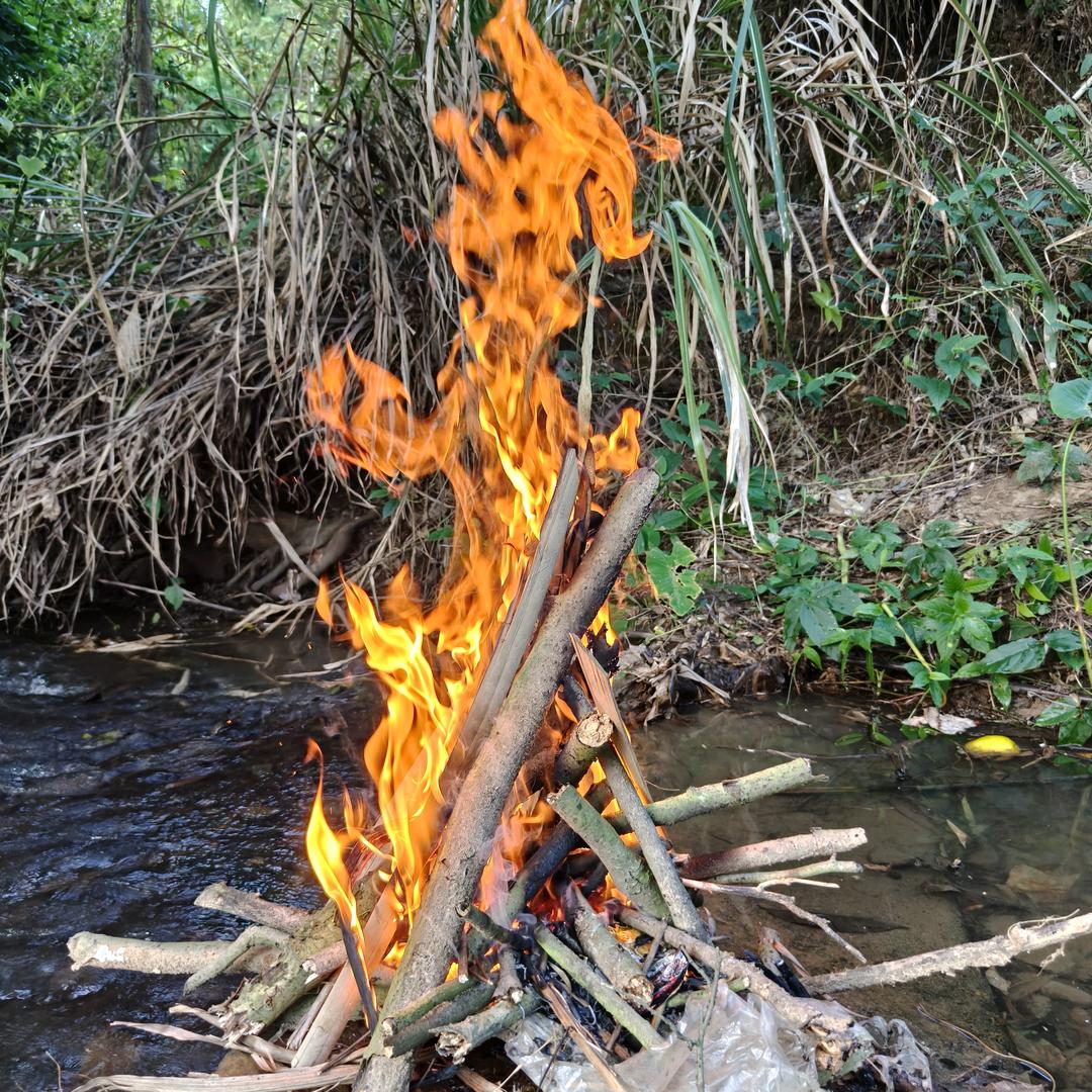 小幸运055的头像