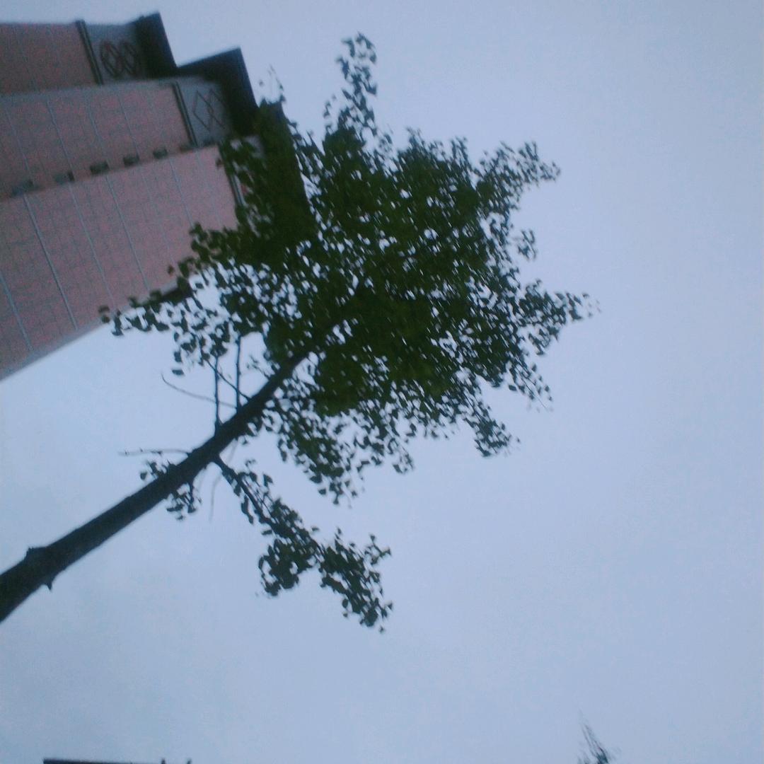 等一分钟