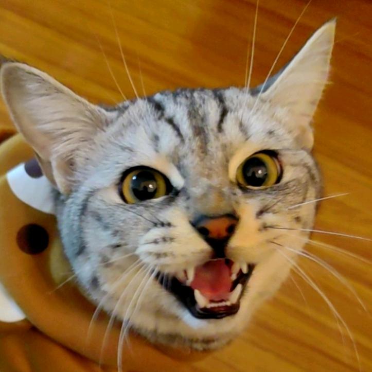 张大嘴巴库库炫