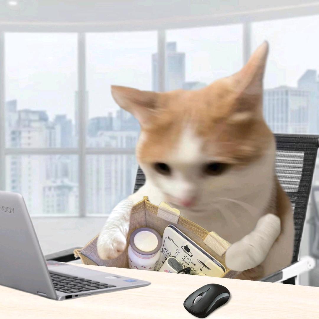 猫meme 打工故事