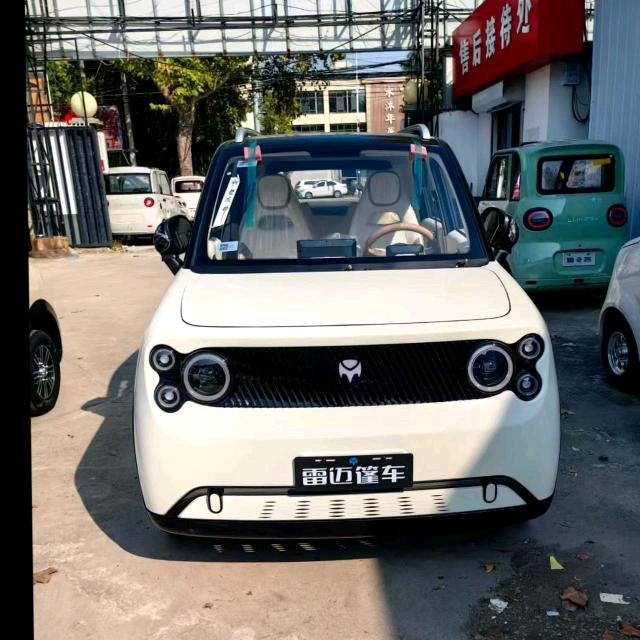 西华 雷迈 新鸽三轮电轿总代理