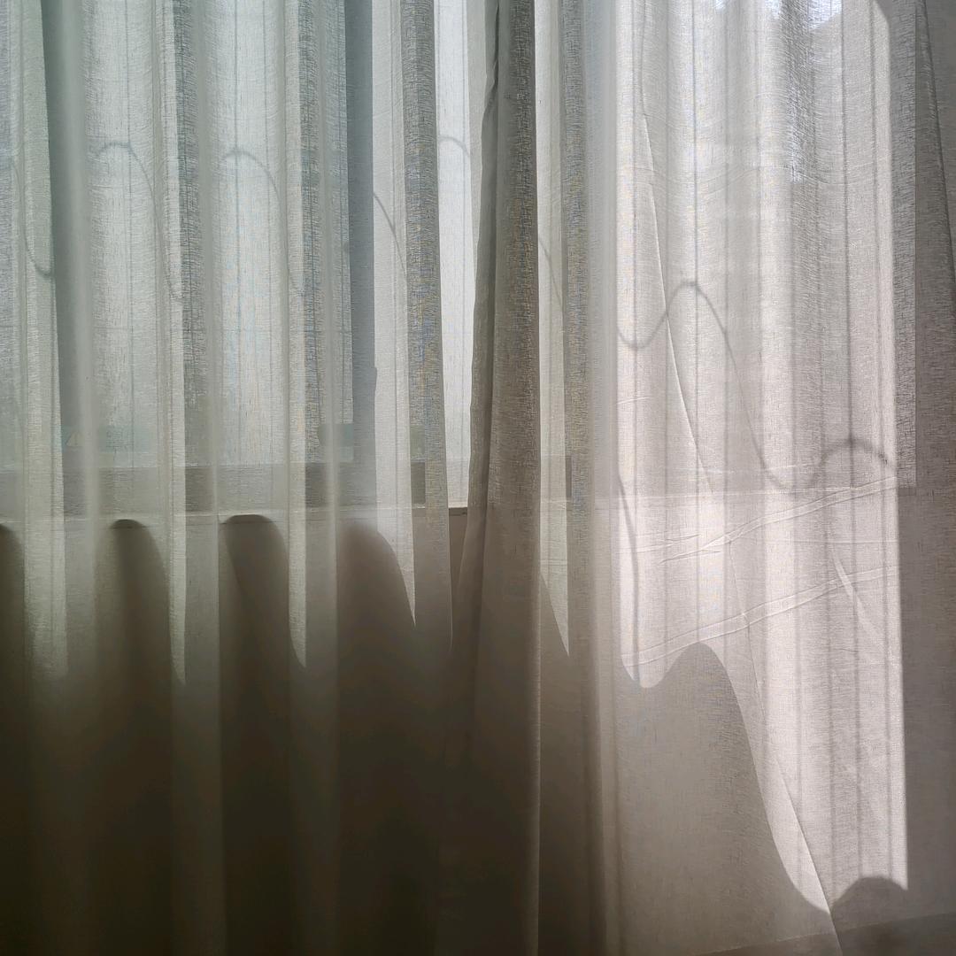 OoOo支竹
