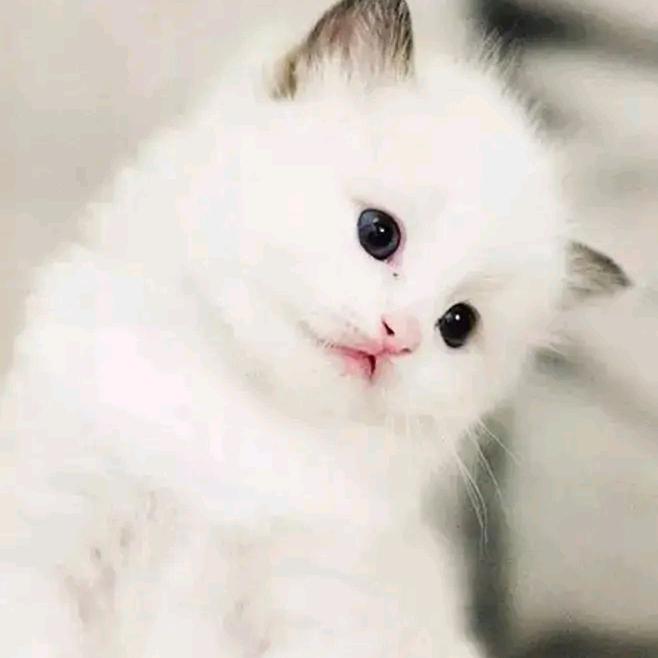 一生爱你💑💑