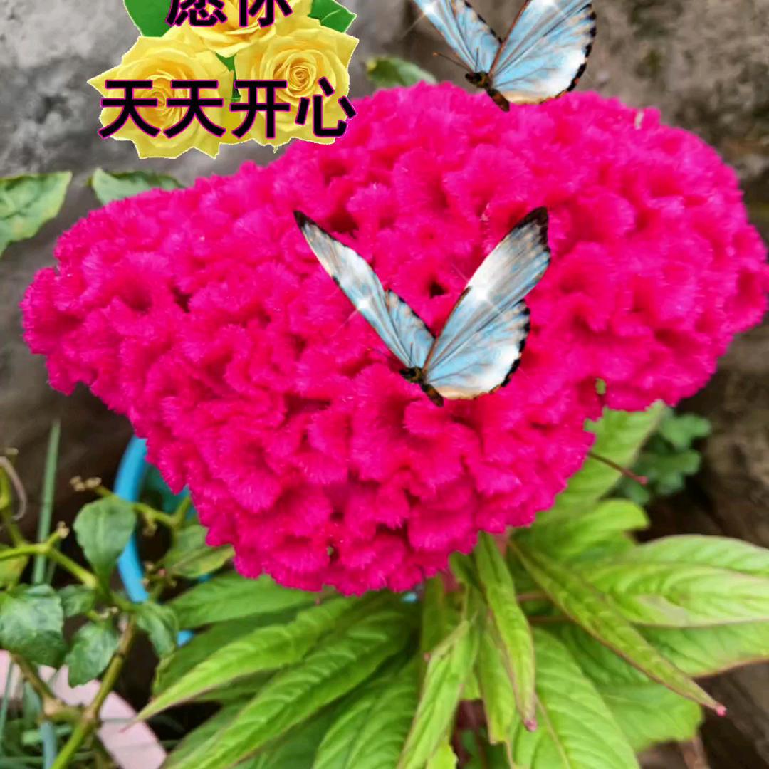 你从我身边走过！