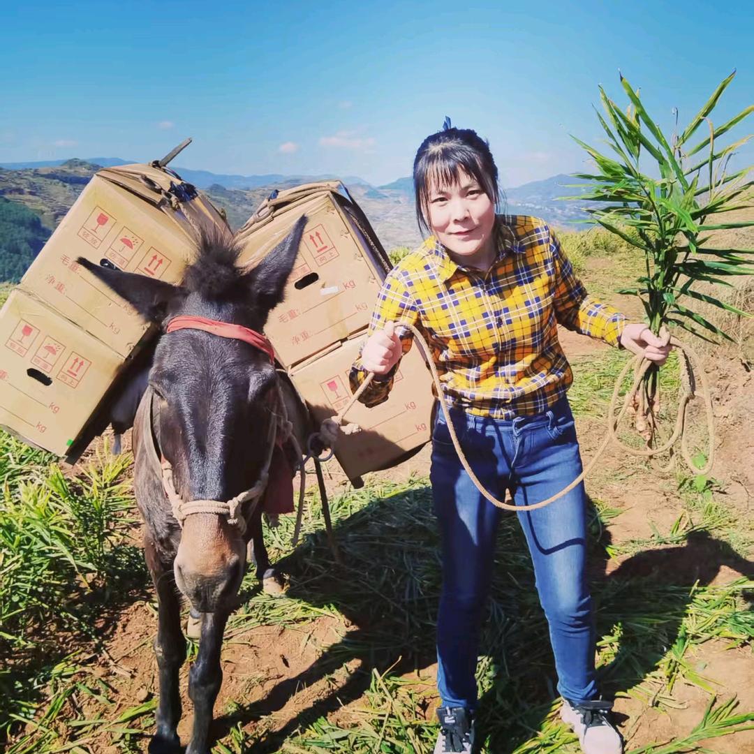 云南双柒云农品严选铺子