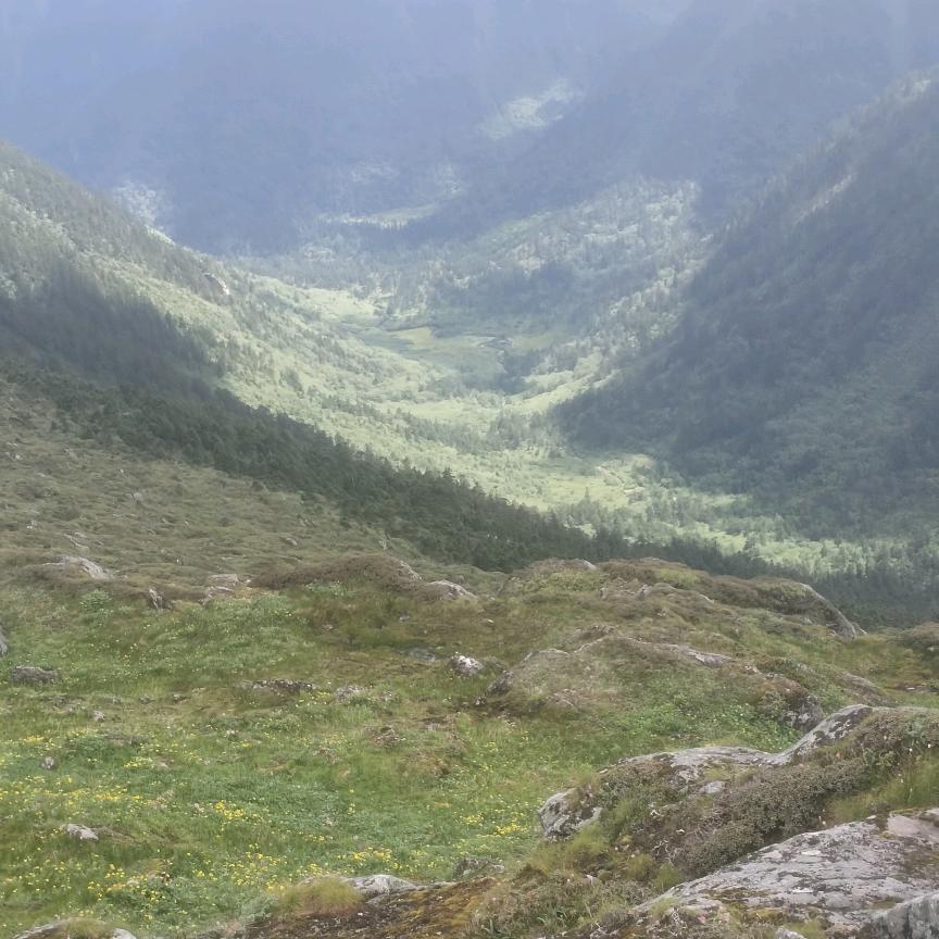 一辈子幸福来了