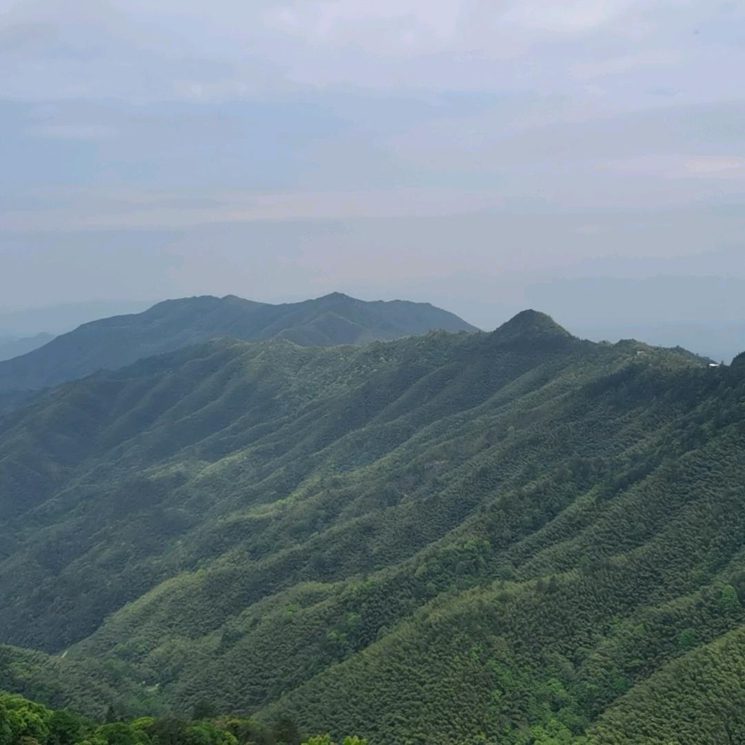 东歌