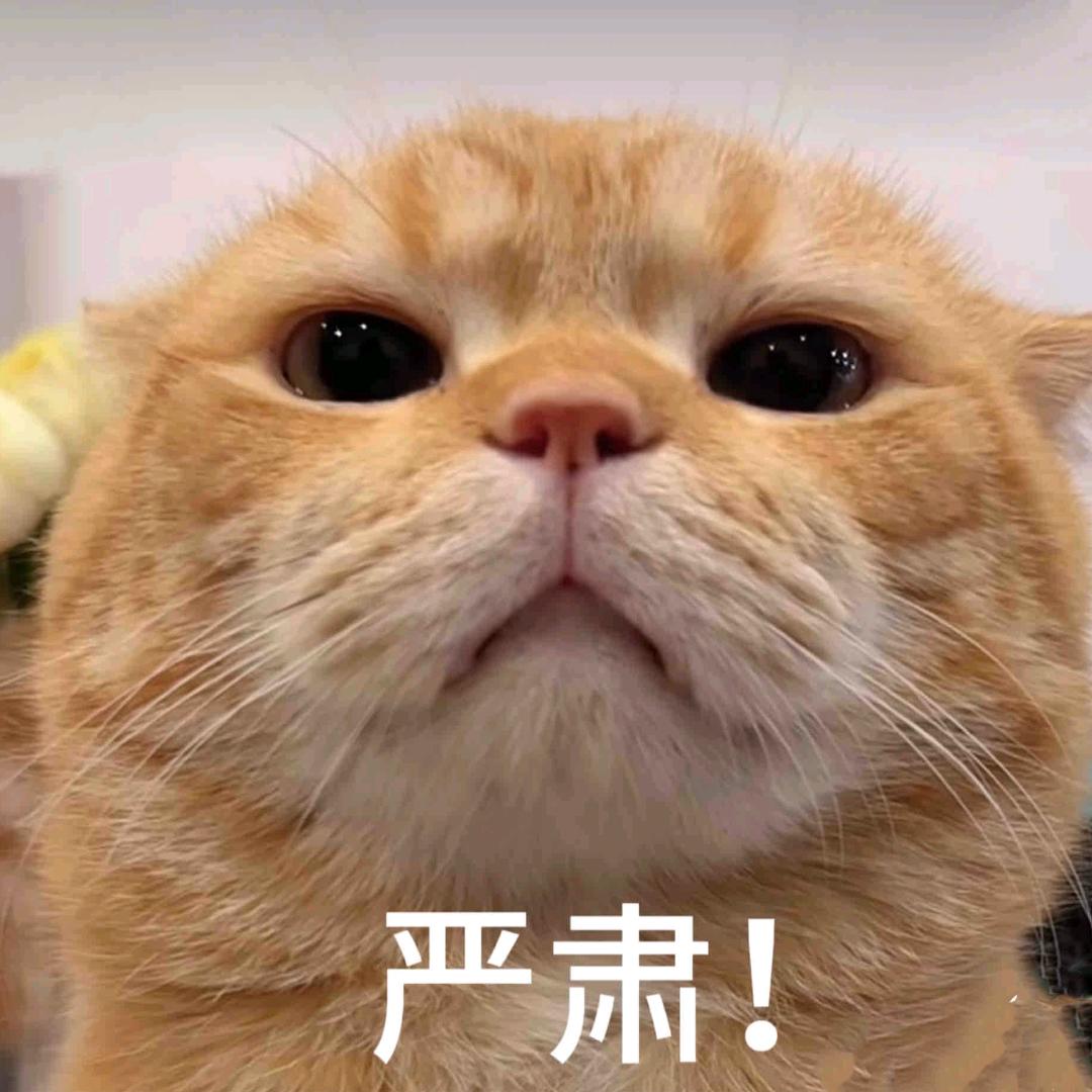 相知→『走過雨季』